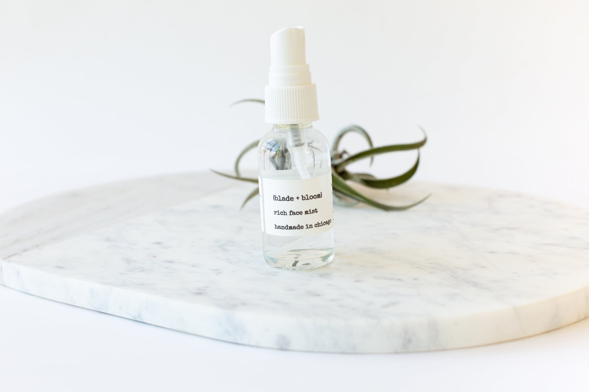 rich face mist